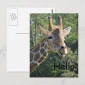Giraffe Friendly Hallo Briefkaart (Voorkant / Achterkant)