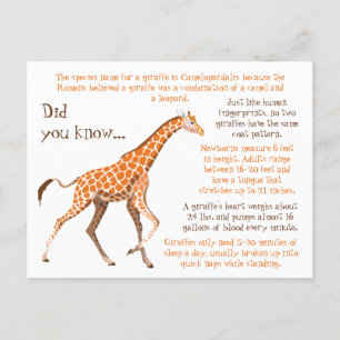 Giraffe Fun Facts Wildlife Briefkaart