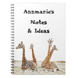 Giraffe Fun Foto - Vier Giraffes zitten Notitieboek