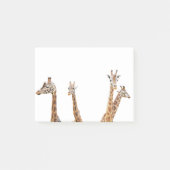 Giraffe Fun Foto - Vier Giraffes zitten Post-it® Notes (Voorkant)