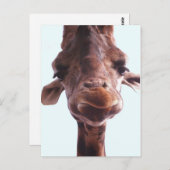 Giraffe Funny Face Briefkaart (Voorkant / Achterkant)