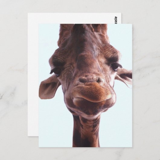 Giraffe Funny Face Briefkaart (Voorkant / Achterkant)