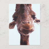 Giraffe Funny Face Briefkaart (Voorkant)