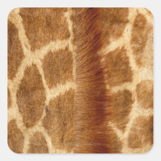 Giraffe Fur Vierkante Sticker (Voorkant)