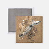 Giraffe gaze magneet (Voorkant / Achterkant)