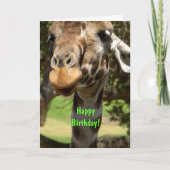 Giraffe, gefeliciteerd! kaart (Voorkant)
