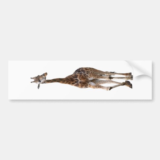 Giraffe genaamd Tip top Bumpersticker...! Bumpersticker (Voorkant)