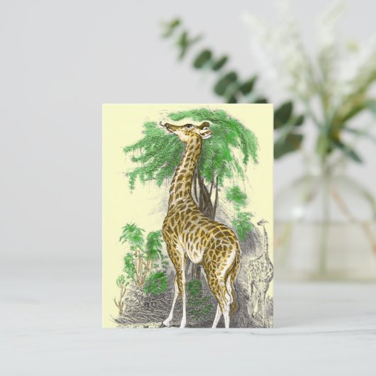 Giraffe Gifts Briefkaart (Staand voorkant)