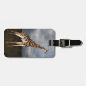 Giraffe (Giraffa camelopardalis) Bagagelabel (Voorkant horizontaal)