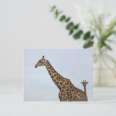 Giraffe (Giraffa camelopardalis), Chobe National Briefkaart (Staand voorkant)