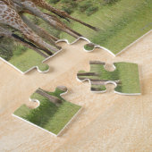 Giraffe, Giraffa camelopardalis, Kgalagadi 2 Legpuzzel (Zijkant)