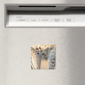 Giraffe (Giraffa camelopardalis) Magneet (Insitu (Vaatwasser))
