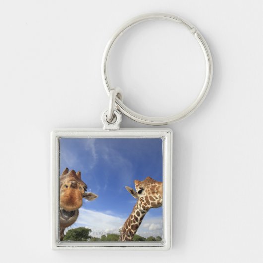 Giraffe (Giraffa camelopardalis), met celstructuur Sleutelhanger (Voorkant)