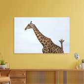 Giraffe (Giraffa camelopardalis), nationale Chobe  Canvas Afdruk (Insitu (Woonkamer))