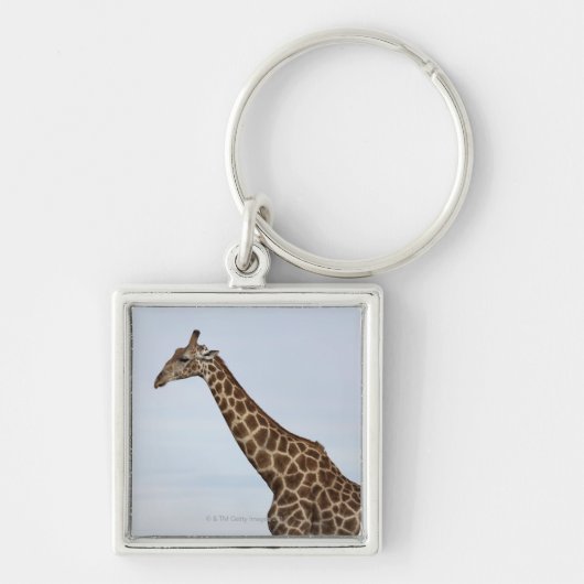 Giraffe (Giraffa camelopardalis), nationale Chobe Sleutelhanger (Voorkant)