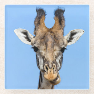 Giraffe Glazen Onderzetter