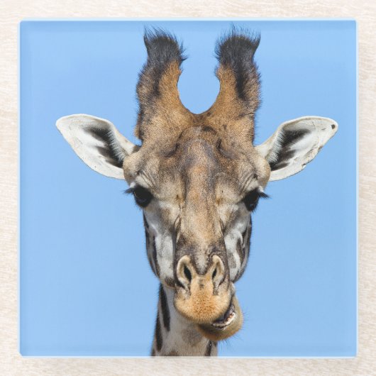Giraffe Glazen Onderzetter (Voorkant)