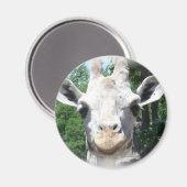 Giraffe glimlachen magneet (Voorkant / Achterkant)