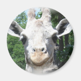 Giraffe glimlachen magneet