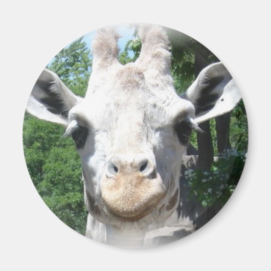 Giraffe glimlachen magneet (Voorkant)