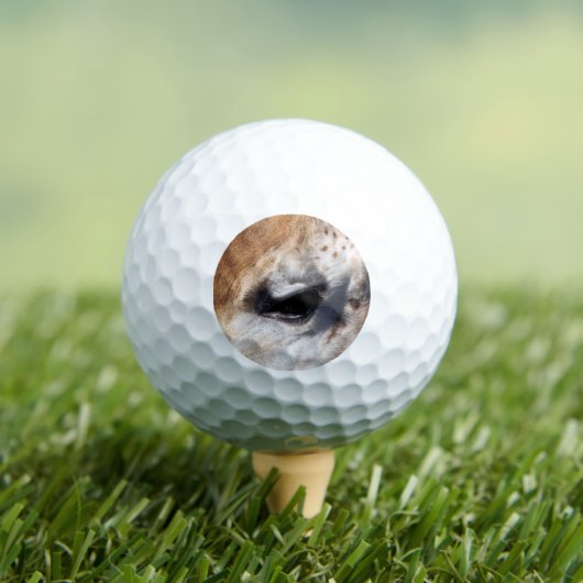 GIRAFFE GOLFBALLEN (Insitu Shirt)