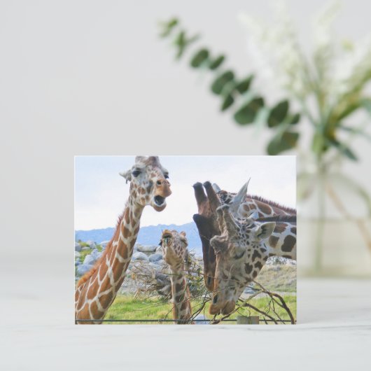 Giraffe Gossip Briefkaart (Staand voorkant)
