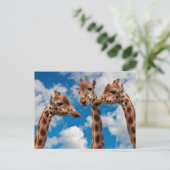 Giraffe Gossip Girls Briefkaart (Staand voorkant)