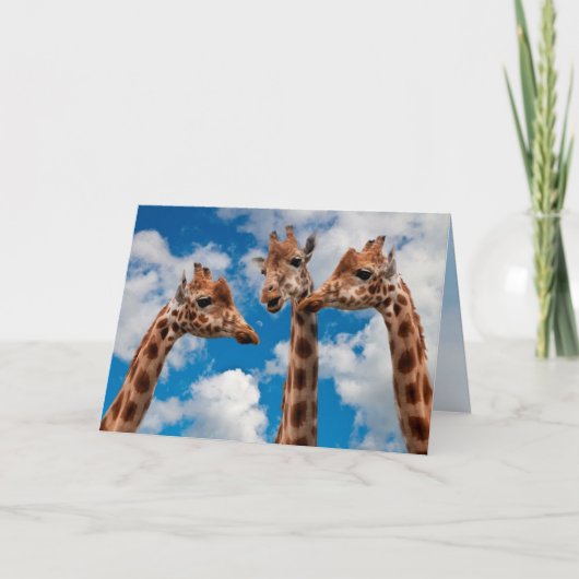 Giraffe Gossip Girls Kaart (Voorkant)