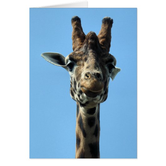 GIRAFFE GREETINGS KAART (Voorkant)