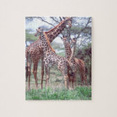 Giraffe Group of Herd w/Young, Giraffa Legpuzzel (Verticaal)