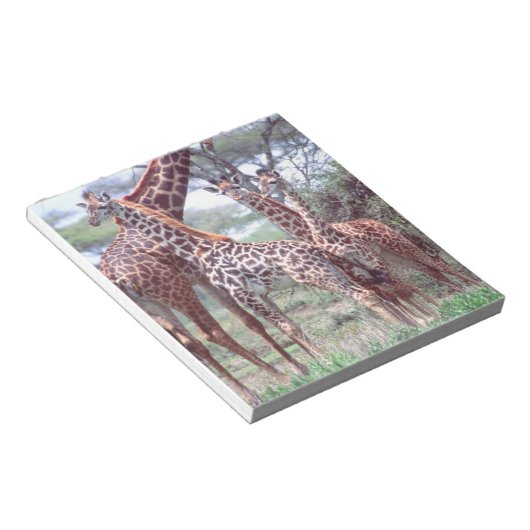 Giraffe Group of Herd w/Young, Giraffa Notitieblok (Schuin)