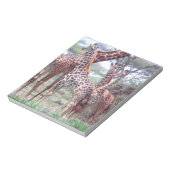 Giraffe Group of Herd w/Young, Giraffa Notitieblok (Linkerzijde)