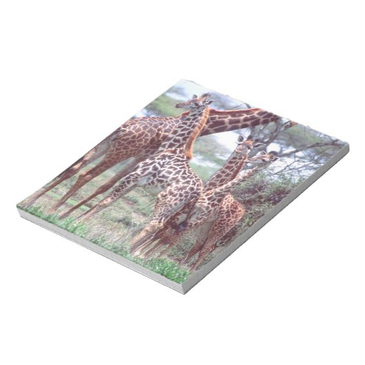 Giraffe Group of Herd w/Young, Giraffa Notitieblok (Linkerzijde)