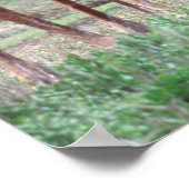 Giraffe Group of Herd w/Young, Giraffa Poster (Hoek)