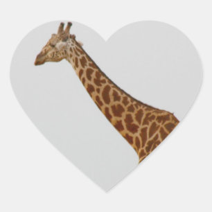 Giraffe Hart Sticker