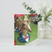Giraffe Head Briefkaart (Staand voorkant)