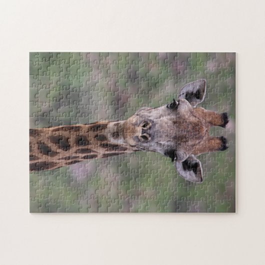 Giraffe Headshot Legpuzzel (Horizontaal)
