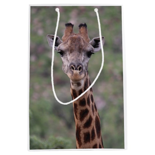 Giraffe Headshot Medium Cadeauzakje (Voorkant)