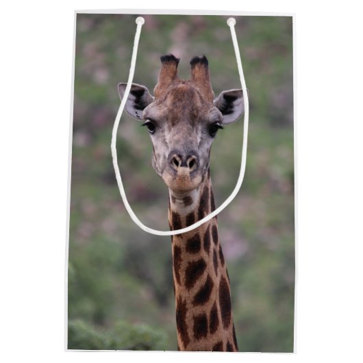 Giraffe Headshot Medium Cadeauzakje (Achterkant)