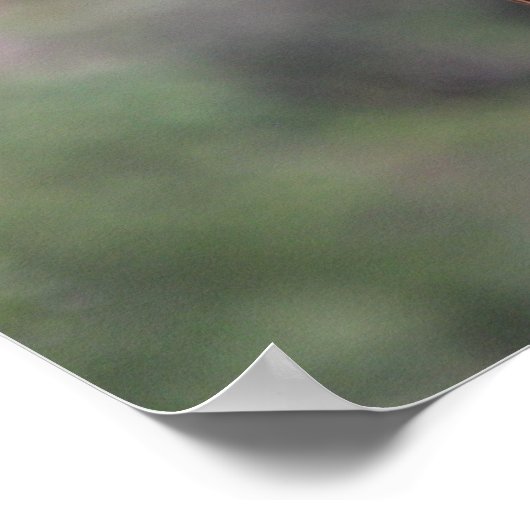 Giraffe Headshot Poster (Hoek)