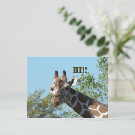 Giraffe, Hoi! Briefkaart (Staand voorkant)