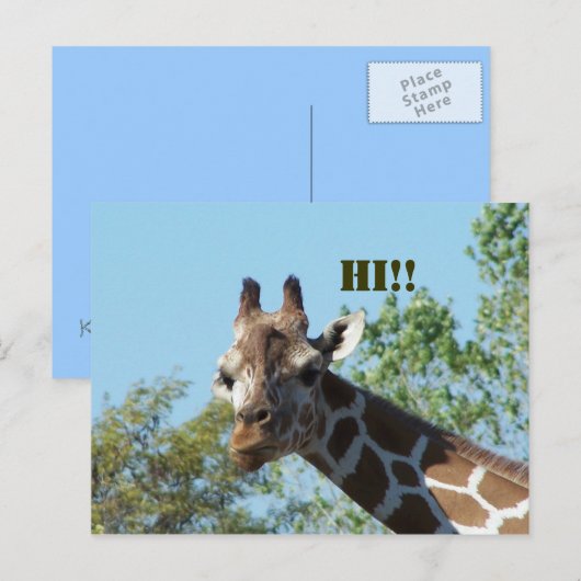 Giraffe, Hoi! Briefkaart (Voorkant / Achterkant)