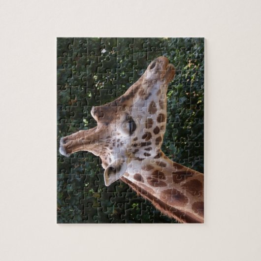 Giraffe Hoofd Jigzaag Puzzle Legpuzzel (Verticaal)
