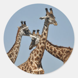 Giraffe hoofden Sticker