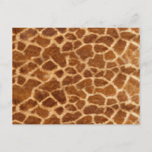 Giraffe Huid Briefkaart