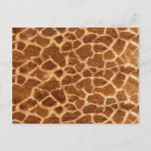 Giraffe Huid Briefkaart (Voorkant)