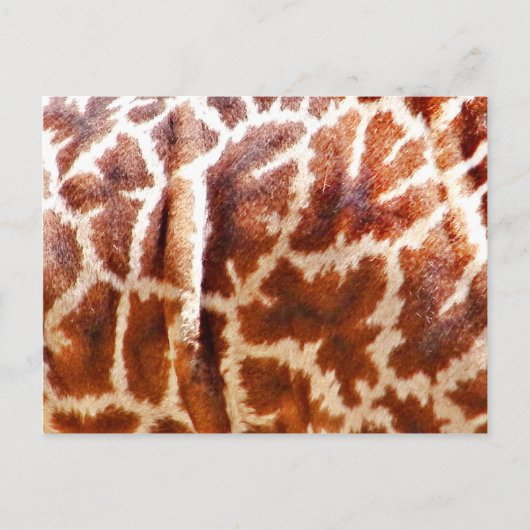 Giraffe Huid_ Briefkaart (Voorkant)