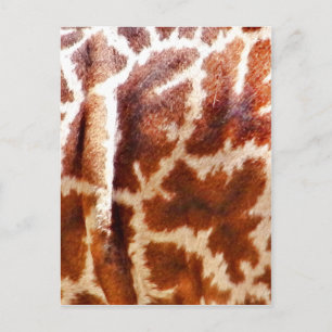 Giraffe Huid_ Briefkaart