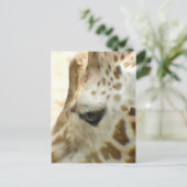 GIRAFFE I BRIEFKAART (Staand voorkant)