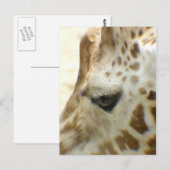 GIRAFFE I BRIEFKAART (Voorkant / Achterkant)